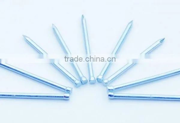 Panel Pin Lost Head Nail Bullet Head Nail photo-2
