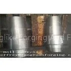 OEM Stainless Steel 304 316 F51 F421 Forged Shaft / Forged Round Bar