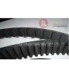 Timing Belt