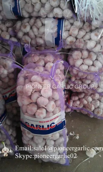 New Crop Fresh Chinese Normal White Garlic (5.0cm, 5.5cm, 6.0cm)