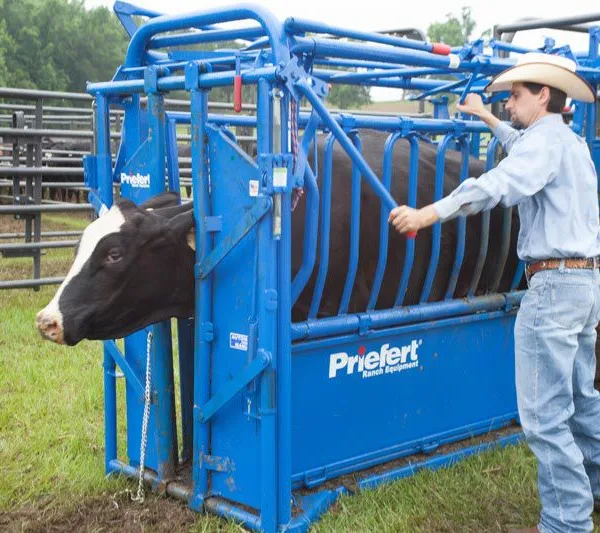 2025 New Mold Steel Tube Foot Trim Mobile Cattle Handling Crush photo-6