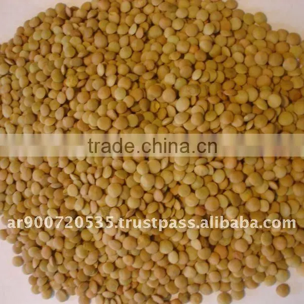 Lentils