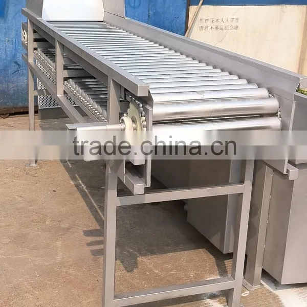 1 Ton GXJ-1 Model Rolling Rail Apple Sorting Machine(Industrial Fruits Sorting Machine) photo-2