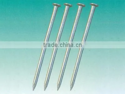 Common Nail Professional Products photo-5