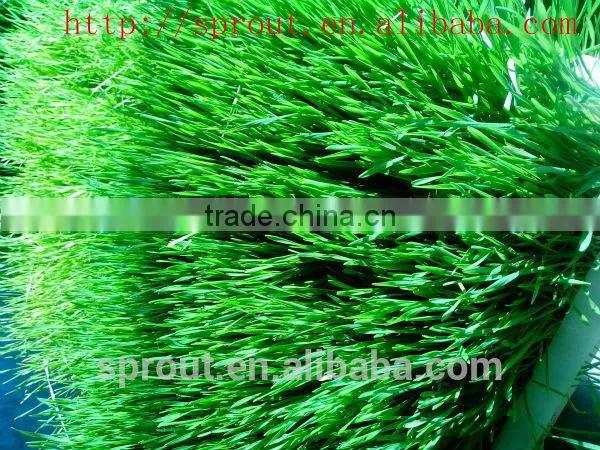 Farm Favorite Green Organic Fodder Growing Machine photo-3