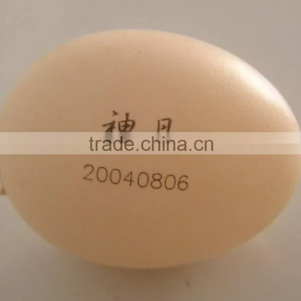 Direct Sale On-line Laser Marking Machine 2 Years Warranty ISO CE FDA BV TUV SGS photo-2
