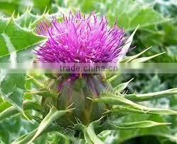 Milk Thistle Seed Oil