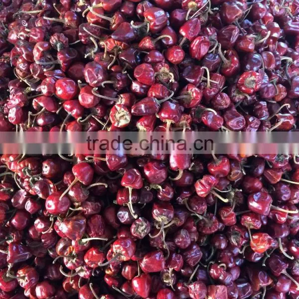 Round Red Chille Pepper