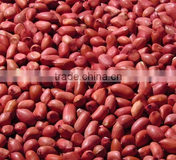 Chinese New Crop Raw Peanut Kernels