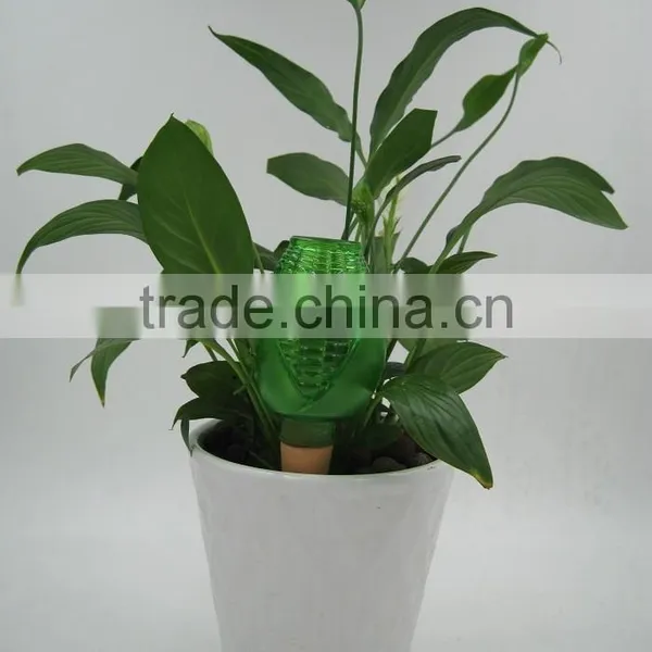 Corn Watering Spike photo-3