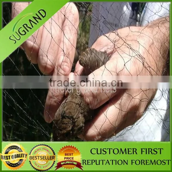 High Quality Factory Produce Anti Bird Net for Fruit Trees photo-2
