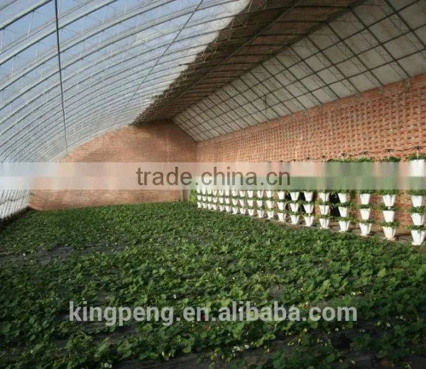 Single-span Hydroponic system PC Sheet Greenhouse