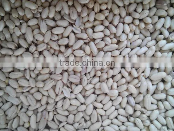 Factory Price Stainless Steel Peanut Crushing and Grading Machine Manufacture photo-4