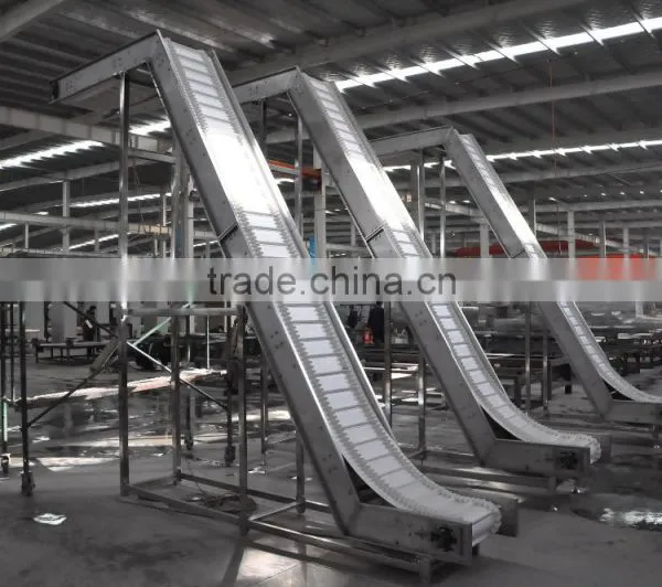 Apple Chips Production Line photo-4