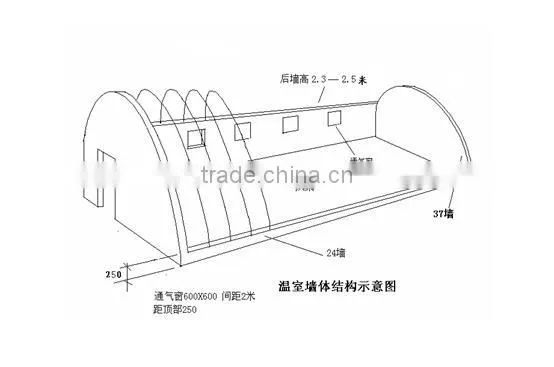 Multi-span Tunnelgreenhouse for Vagetable and Fruits photo-4