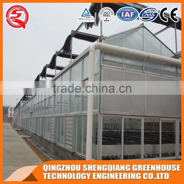 China Multifunction Multi-span Venlo Glass Greenhouse for Flowers photo-3
