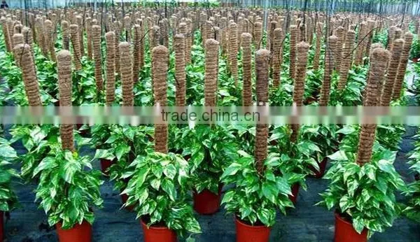 Coconut Pole for Plants & Flowers & PVC Bamboo Pole for Decorative photo-5