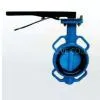 Butterfly Valve