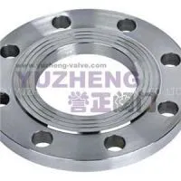 Ring Joint Flange