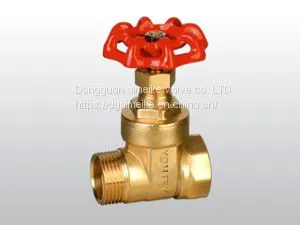 Brass Internal And External Thread Gate Valve