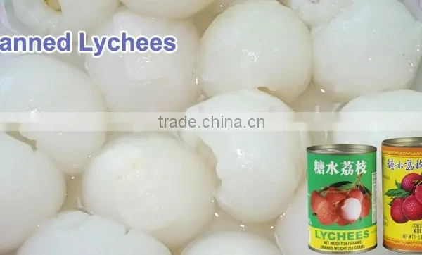 Best Qualities Canned Litchi in Syrup