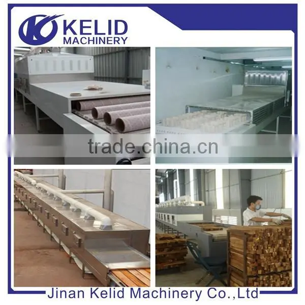 Automatic High Efficient Industrial Conveyor Belt Microwave Dryer photo-6
