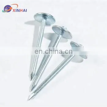 Roof Nail photo-3