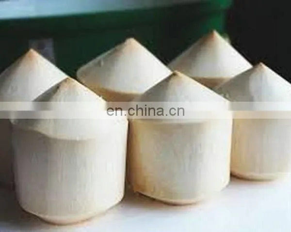 Coconut Vietnam High Quality Competitive Price photo-2