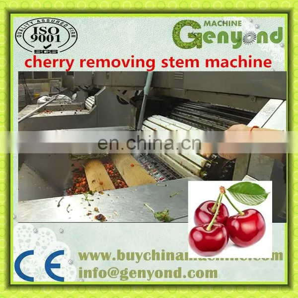 Cherry Stem Stalk Removing Machine Cherry Pitting Machine for Cherry Process Machine photo-3