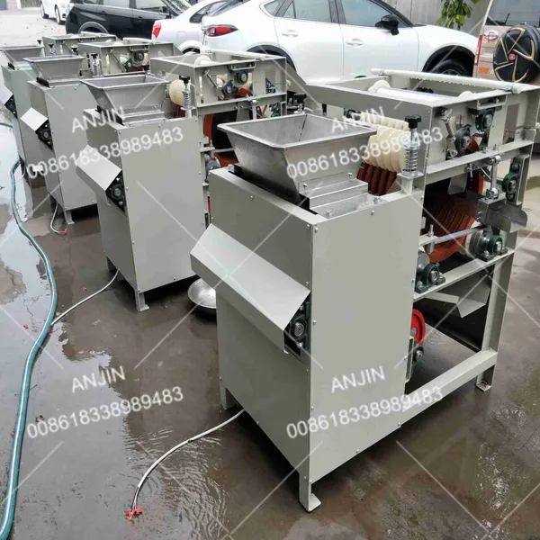 Hot Sale Automatic Wet Type Almond Red Skin Peeling Machine Peanut Peeler Nut Skin Removing Machine photo-5