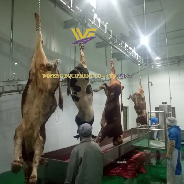 Оборудование для убойства крупного рогатого скота WFA. Устройство для убойного двора. Производственная линия для убойства коров