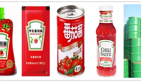 Tomato Paste Automatic Evaporator Machine Forced Circulating Evaporato for Sale photo-4