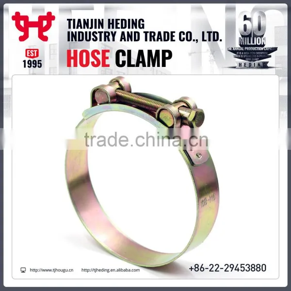 Chinese First Brand HEDING T Type Hose Clip photo-4