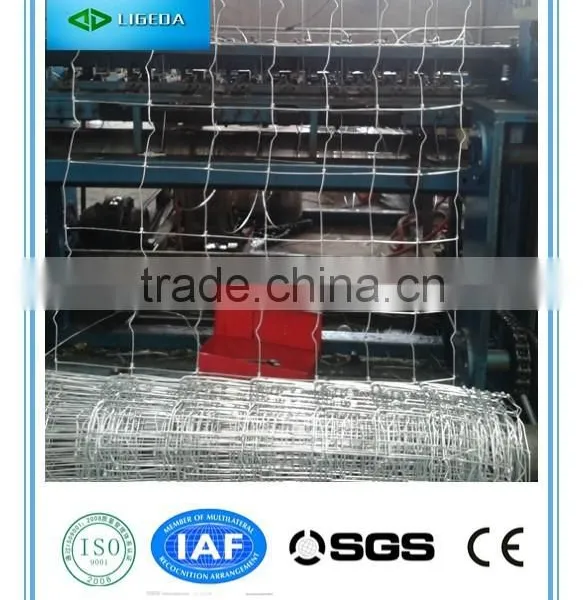 Hinged Joint Cattle Fencing photo-5