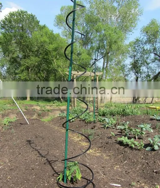 High Quality Spiral Plant Stake photo-3