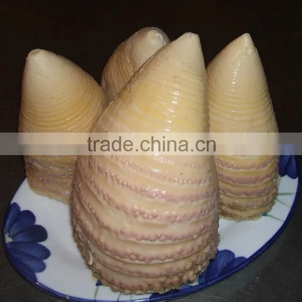Canned Bamboo Shoot in Whole Size 2950gram (3-4 Pieces/tin)