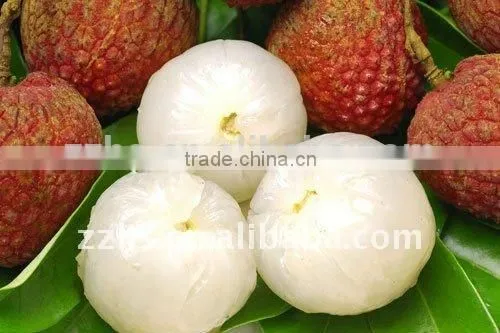 Canned Foodstuff Chinese Canned Lychee in Syrup photo-4