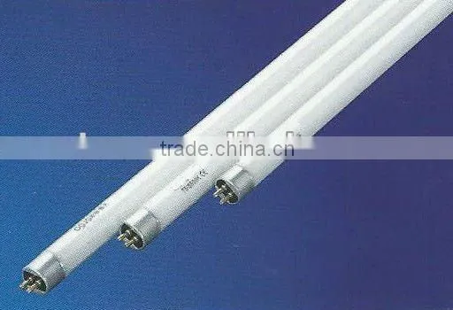 T5 Fluorescent Lamp