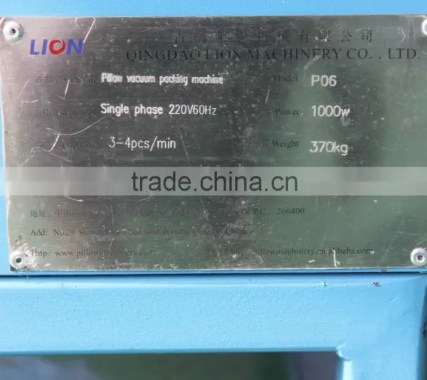 P06 Pillow Vaccum Packing Machines in Manufacture photo-6