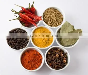 Nature Spices & Herbs China Orgin/YY Spice-Seasoning Blends