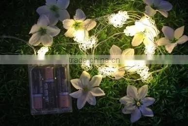LED Festival Lights photo-5
