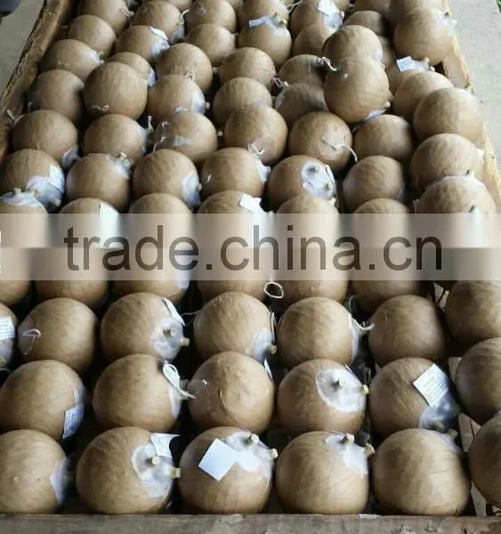 Pyrotechnics Shell Wrapping Machine+taping Machine for 1.5 to 3.0 Inch Shells+fireworks Machine photo-3