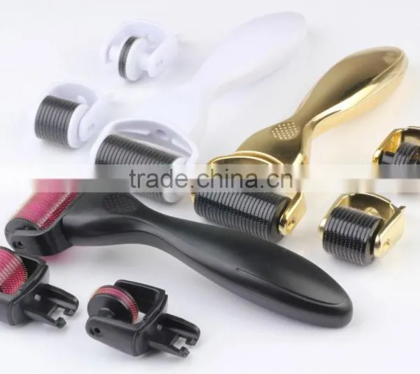 Factory Sale CE Lowest Price Health Care Chengeable Heads Derma Roller Care Facial Kit for Sale photo-3