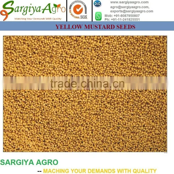 Mustard Seed l Natural l Yellow l Black photo-3