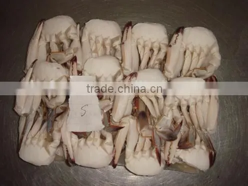 Frozen Half Cut Blue Swimming Crab photo-3