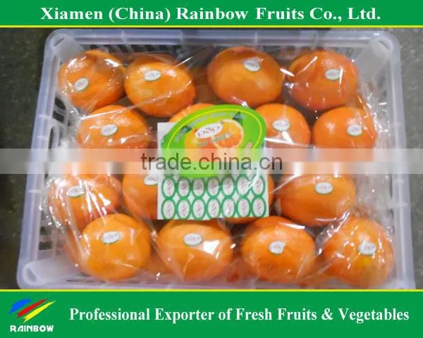 Fresh Mandarin Orange Navel Orange