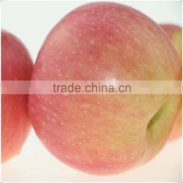 Fresh Red Fuji Apple