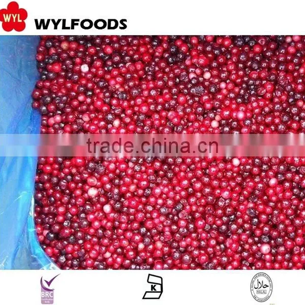 IQF China Price for Frozen Linggonberry Hot Sales photo-3