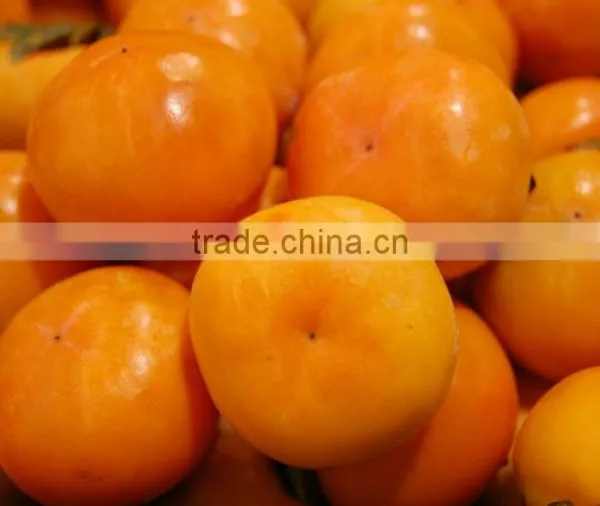Manufactory Supplier of Diospyros Kaki Fruit Extract,Diospyros Kaki Fruit Extract Powder,Diospyros Kaki Extract 4:1~20:1 photo-2