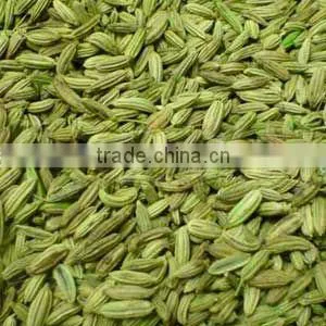 Moon Star Best Quality Fennel Seeds